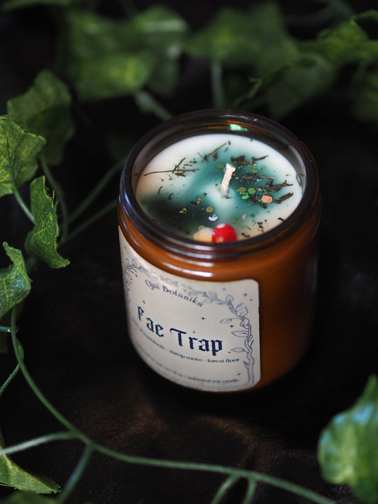 *PREORDER* Fae Trap Limited Edition Candle - toadstools, damp moss, forest floor & petrichor