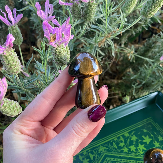 Tigers Eye Crystal Mushrooms