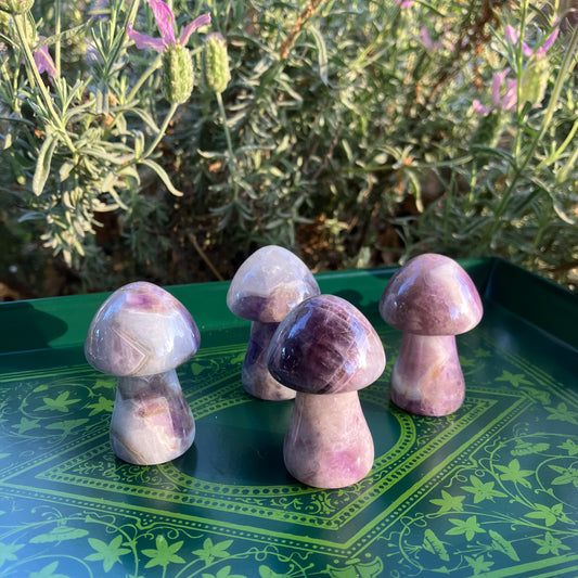 Amethyst Crystal Mushrooms