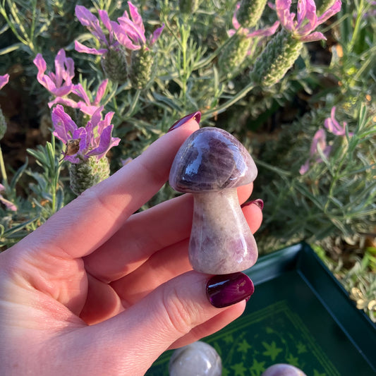 Amethyst Crystal Mushrooms