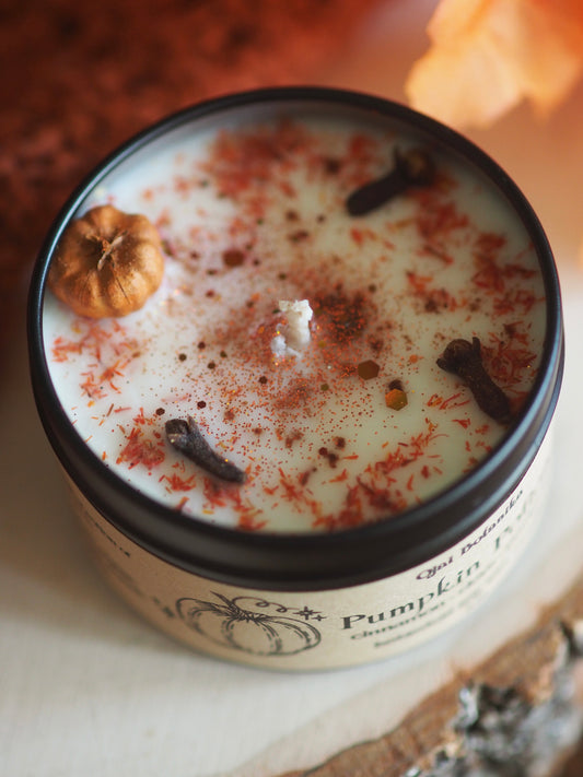 Pumpkin Potion - Pumpkin, Cinnamon, Clove, Ginger & Vanilla - Handmade Soy Candle - Fall Limited Edition